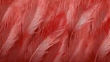 beautiful red feather pattern texture background illustration