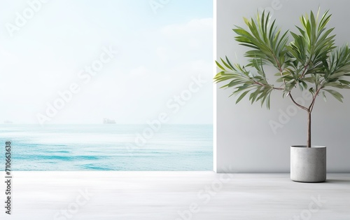 Indoor plant on white floor with empty concrete wall