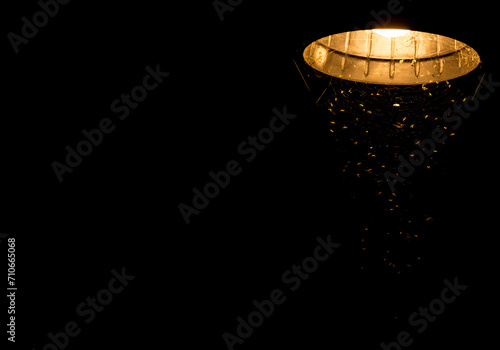 Luminária de teto acesa de noite com teia de aranha. photo