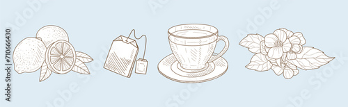 Herbal Tea Item and Element Sketch Hand Drawn Vector Set photo