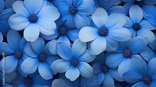 nature blue flower background illustration floral vibrant, beautiful spring, garden petal nature blue flower background