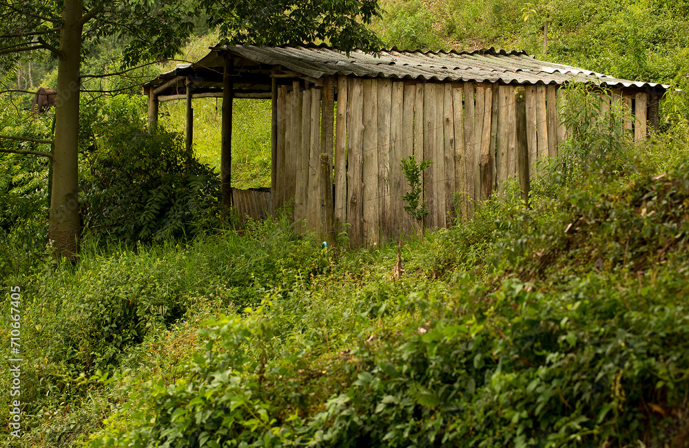 Cabana de madeira no pé da serra. Serra do Japi, Jundiaí, São Paulo, Brasil. 