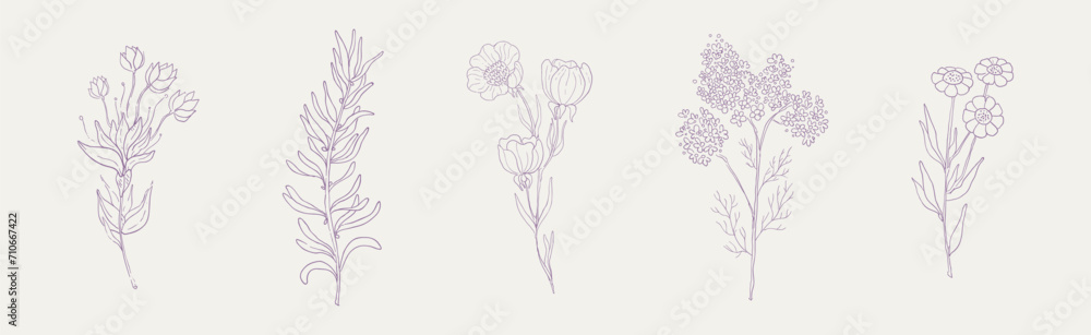Hand Drawn Flower and Blooming Plant on Stem Vector Set
