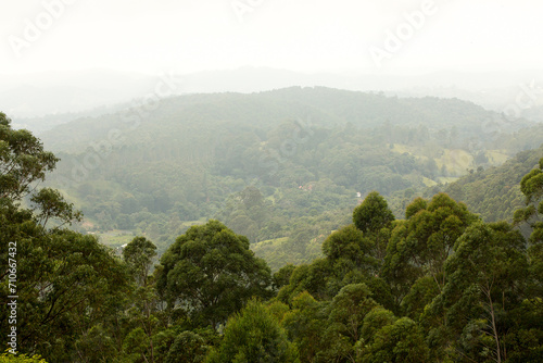 Paisagem de serra, neblina, vales e árvore de eucaliptos. Mata Atlântica, Jundiaí, São Paulo, Brasil. 