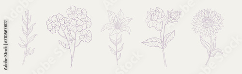 Hand Drawn Flower and Blooming Plant on Stem Vector Set #710667602