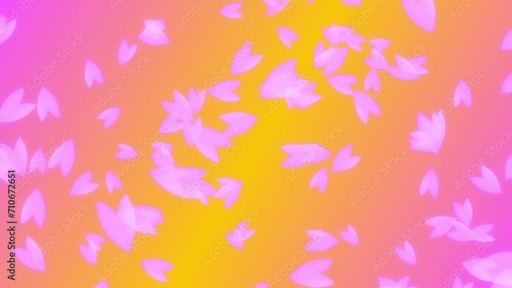 Pink cherry petals falling from top to bottom on yellow and pink gradient spring color background. Abstract footage with a scene of Spring time in Japan. Pink cherry petals falling from top to bottom on yellow and pink gradient spring color background. Abstract footage with a scene of Spring time in Japan.