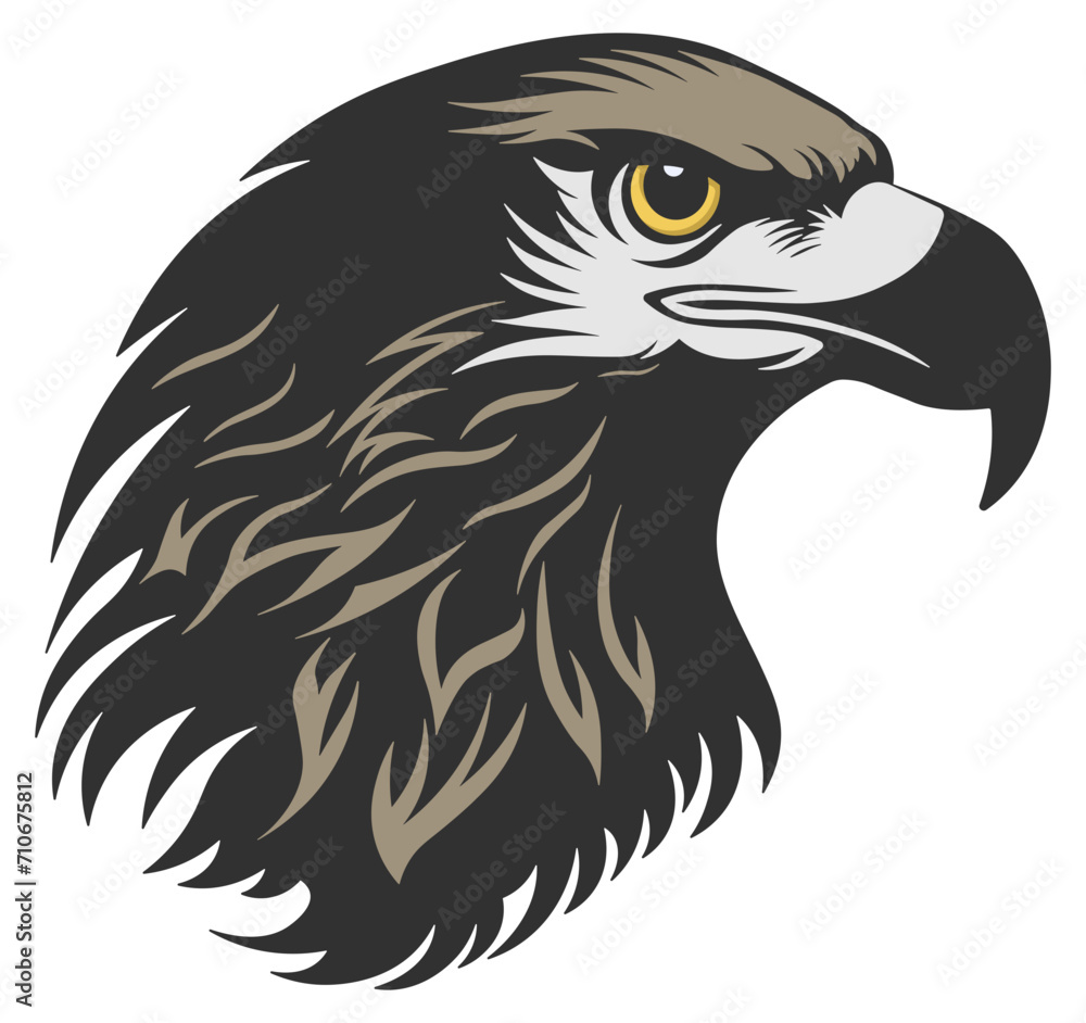 Fototapeta premium head of a hawk or eagle or griffin without background