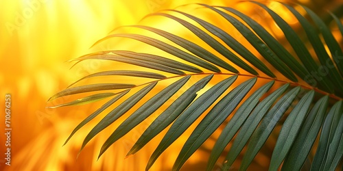 Vibrant palm leaf radiating with golden sunlight backdrop
