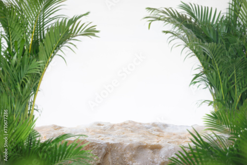 Stone podium tabletop floor blurred green palm leaf on white wall nature background.Beauty cosmetic natural product placement pedestal display,jungle summer concept.