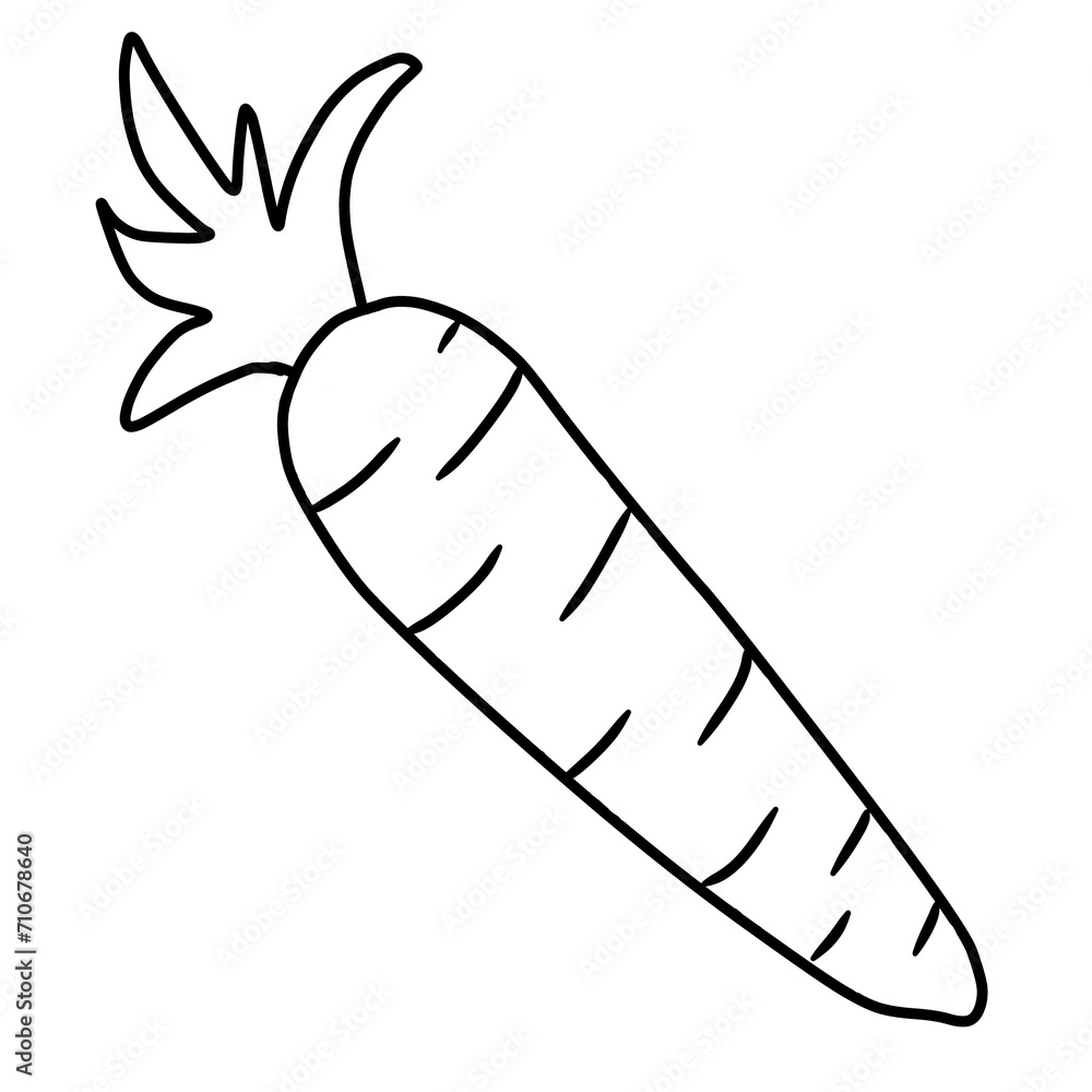 carrot carrot