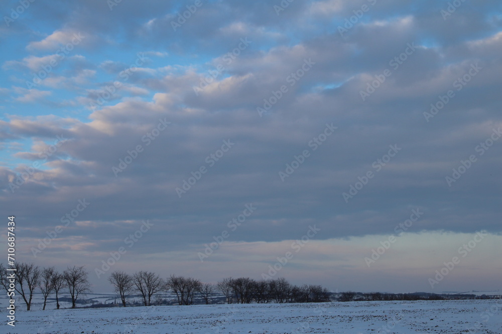 A snowy field with trees and a blue sky with clouds A snowy field with trees and a blue sky with clouds