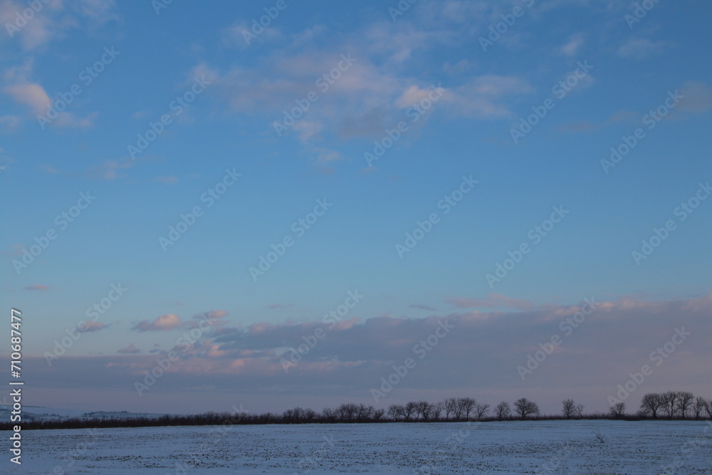 A snowy landscape with trees and a blue sky