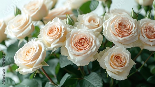 A stunning floral arrangement of roses  various roses on white background