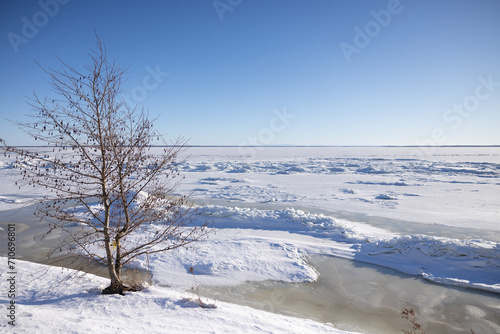 Arbre en hiver avec glaces du fleuve, horizontal