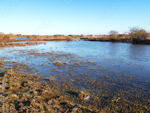 View over flooded wetlands at Wheldrake Ings, North Yorkshire, England