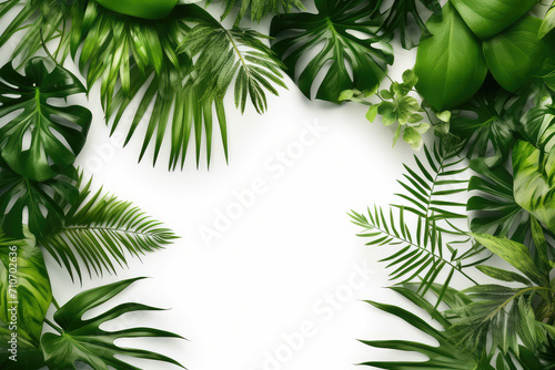 Green tropical leaves frame on white background. Summer concept. © NeeArtwork