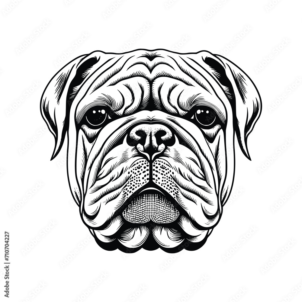 Bulldog dog vector EPS Bulldog dog vector EPS