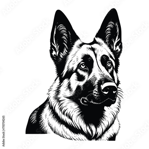 German Shepherd dog vector EPS