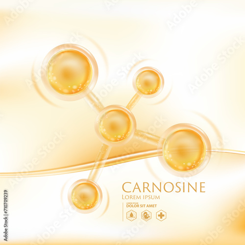 Carnosine Serum Skin Care Cosmetic