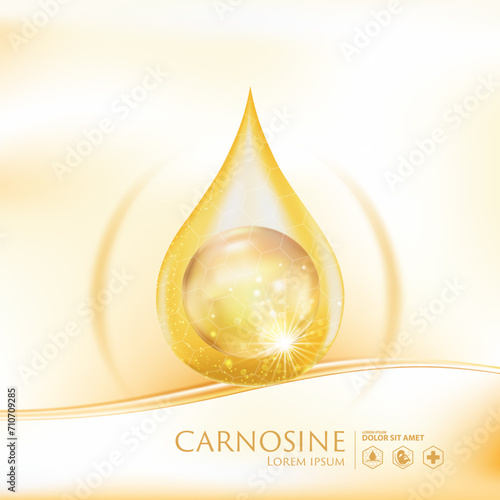 Carnosine Serum Skin Care Cosmetic