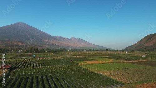 Wallpaper Mural Aerial view of agriculture fields in the valley at Rural Sembalun Village, Lombok, Indonesia. Torontodigital.ca