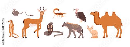 African desert animals, set of cartoon vector illustration on white
