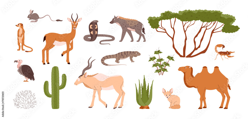 Desert animals and plants set. Desert animals and plants set.