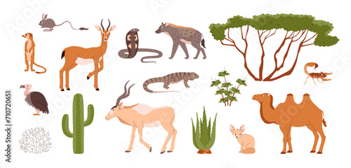 Desert animals and plants set.