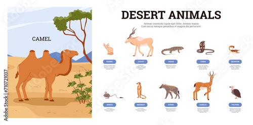 Desert creature with animals and birds name, camel, fennec, jerboa,cobra, different exotic wild tropical habitants