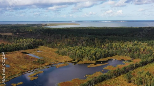 Wallpaper Mural Aerial view of a swamp surrounded with forest trees at sunset, Slowinski National Park, Poland. Torontodigital.ca
