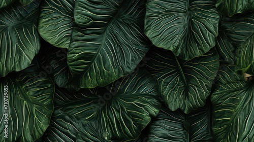  a close up of a bunch of green leafy plants with green and yellow stripes on it s leaves.
