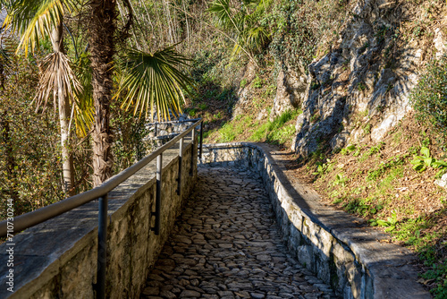 Panoramic path downhill to the hermitage of santa aterina del Sasso on the shores of Lake Maggiore formed by stone slabs and surrounded by plants  palms and rocks.