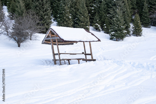 Wallpaper Mural Old gazebo in the winter mountains near Almaty. Torontodigital.ca