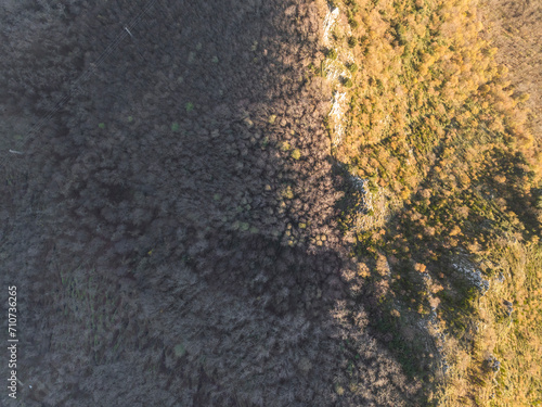 Wallpaper Mural Aerial view of forest trees on Mount Pergola at sunset near Solofra, Avellino, Irpinia, Campania, Italy. Torontodigital.ca