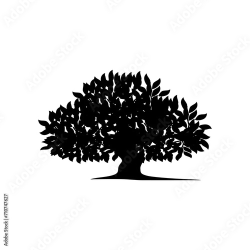 tree silhouette isolated on white background