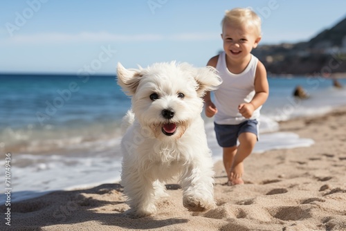 Joyful Moments of Child and Pet Playing on the Beach