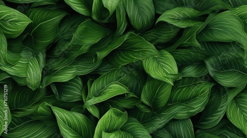  a close up view of a bunch of green leafy plants with green leaves on the top and bottom of the leaves.