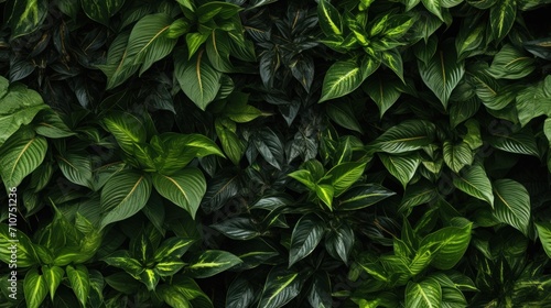  a close up of a green plant with lots of leaves on it's sides and green leaves on the other side of the plant.