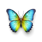 A colorful butterfly is depicted in a flat style and isolated against a white background.