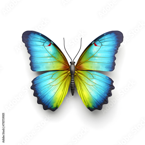 A colorful butterfly is depicted in a flat style and isolated against a white background.