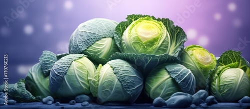 Green cabbage nature background