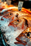 Raw fish on ice. Selective focus.