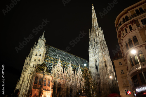Fotografie Wiener Stephansdom bei Nacht