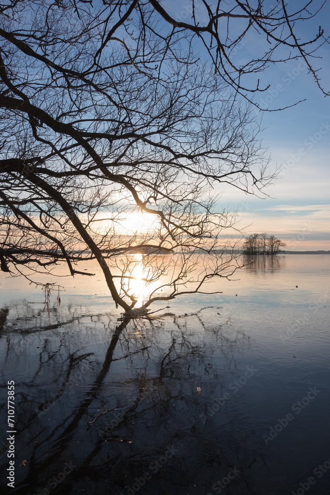 Mystische Äste mit Eis auf dem Großen Plöner See im Winter.