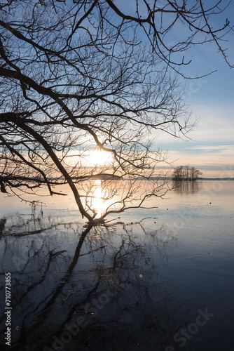 Mystische Äste mit Eis auf dem Großen Plöner See im Winter.