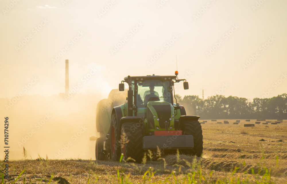 Fototapeta premium Combine harvester pressing straw from field into bales driving field on sunny summer evening. Field with bales of pressed wheat. Lots of dust on field. Agricultural agro-industrial harvesting works