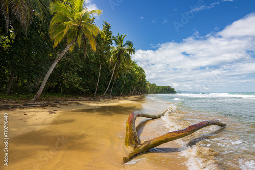 Fototapeta Naklejka Na Ścianę i Meble -  Punta Uva beach near Puerto Viejo de Talamanca (Costa Rica)