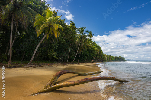 Fototapeta Naklejka Na Ścianę i Meble -  Punta Uva beach near Puerto Viejo de Talamanca (Costa Rica)