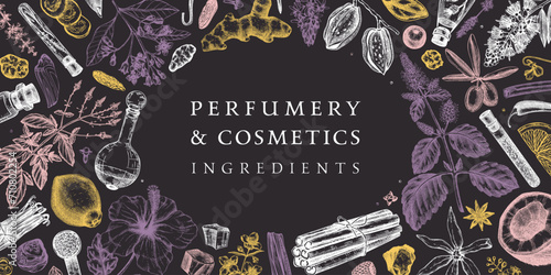Perfumery and cosmetics ingredients banner. Flower, fruit, spice, herb sketches. Hand drawn vector illustration. Cosmetics design template. Aromatic plants background