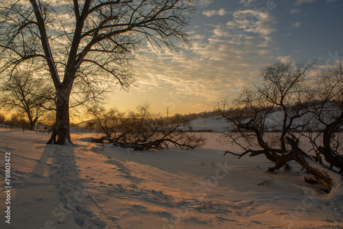 Frosty winter in Russia. Beautiful sunrise in Siberia.  Cold winter photo.  © romeof